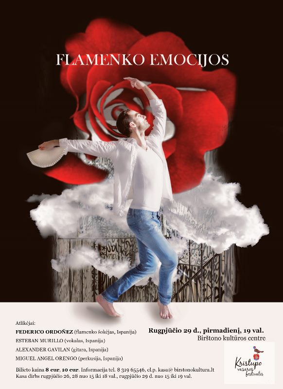 Federico Ordonez flamenko (582x800)